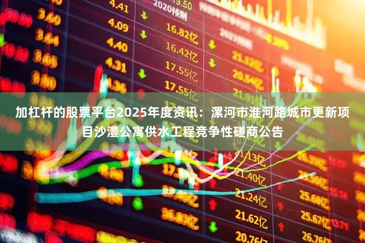 加杠杆的股票平台2025年度资讯：漯河市淮河路城市更新项目沙澧公寓供水工程竞争性磋商公告